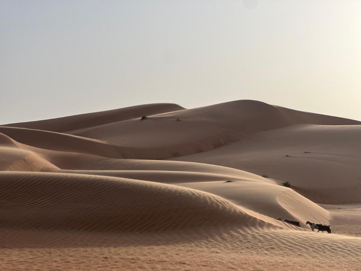 Thousand Stars Desert Camp Bidiya Exterior photo