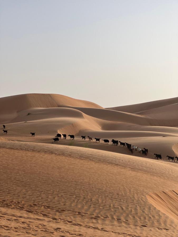 Thousand Stars Desert Camp Bidiya Exterior photo